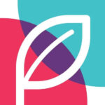 Promise Venture Studio